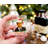 Hemisha 2oz. Shot Glass / Shooter Set