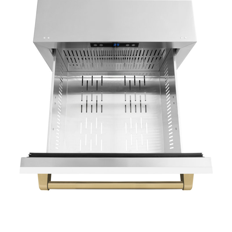ZLINE Autograph Edition 24 In. Touchstone Refrigerator Drawer in Black Matte and Gold, White Matte/Champagne Bronze