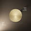 Pomme de douche réglable Flood-220411437