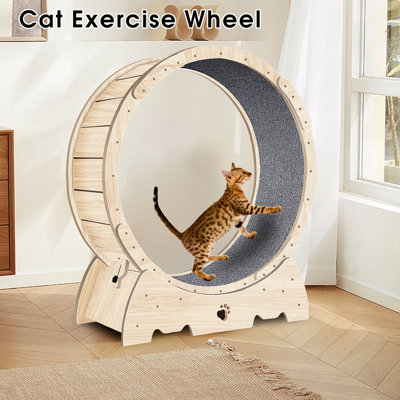 Fawzan Cat Perch