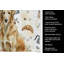 Serviette de cuisine Coffee Bar-1234933877