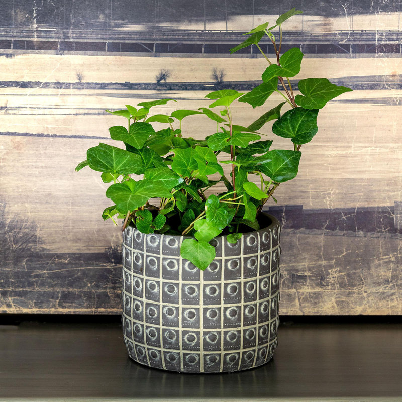 Rivet Pattern Pot, 5'' H x 5.5" W x 5.5'' D