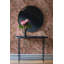 Papier peint floral, décoration murale rétro rose