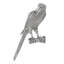 Animals Parrot Wall Décor
