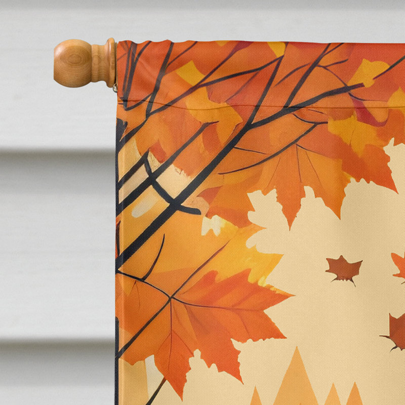 Drapeau Silky Terrier Fall House