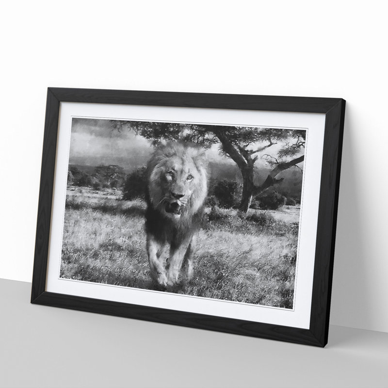 Lion Vol.5 - Picture Frame Graphic Art, Black Framed, 27cm H x 36cm W x 2cm D