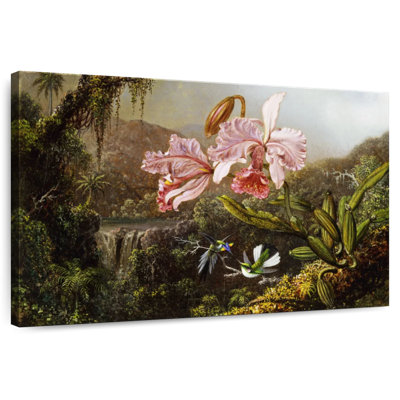 Harnek Orchids And Hummingbirds In Brazilian Jungle