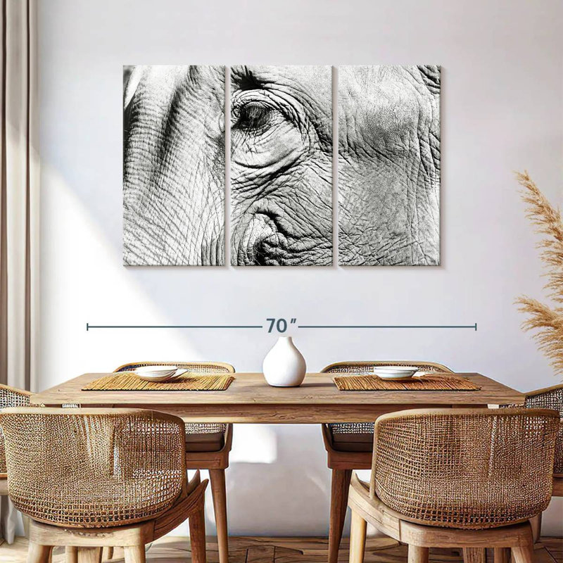 Elephant Close Up BW, 36" H x 57" W