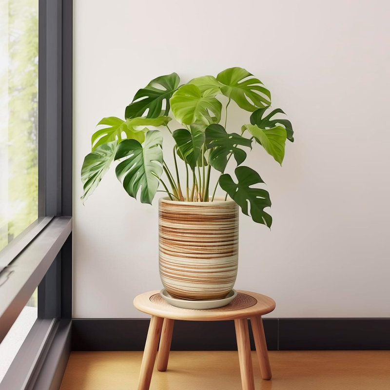 8" Yellow Ceramic Plant Pot (Drainage & Saucer, Indoor/Outdoor)