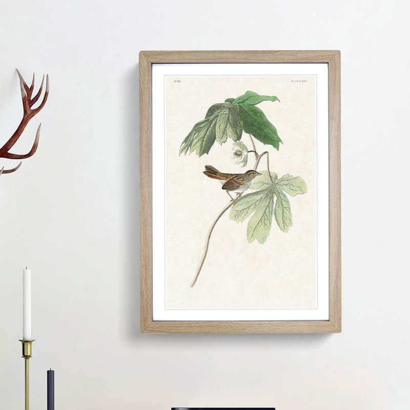 Swamp Sparrow by John Audubon - Picture Frame Art Prints, 36cm H x 27cm W x 2cm D, Oak Framed