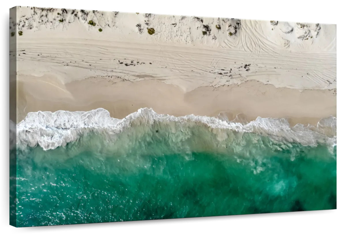 Elephant Stock Beach Shore Aerial View | Wayfair