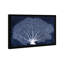 «Nautical and Coastal Coral Fan», impression d'art graphique sur papier-25408917-25408913