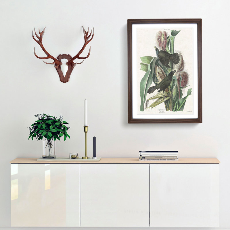 Common Crow Blackbird by John Audubon - Picture Frame Painting, 48cm H x 36cm W x 2cm D, Walnut Framed