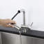 Belfry Kitchen Gaiser Pull Out Kitchen Faucet
