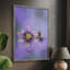 Exotic Flower Burst II, reproduction encadrée - bois massif-1847503306