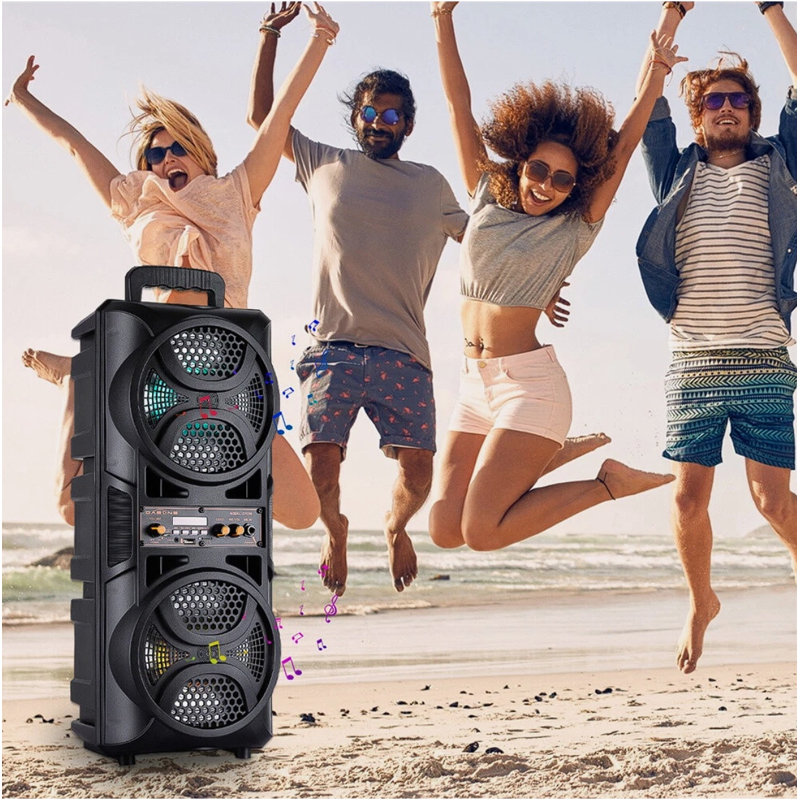 3000W Portable Wireless Bluetooth Speaker Dual 6.5 Inch Woofer Wired Microphone Remote FM Radio Lights