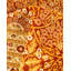 Tapis unique rouille / beige / brun noué à la main 10 pi 10 po x 15 pi 3 po Hayner