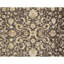 Oriental Area Rug