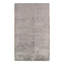 Paesley Area Rug in Gray