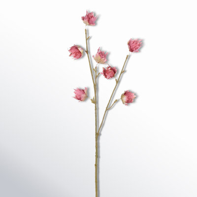 Benita Hibiscus Stems