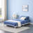 Vitus Metal Platform Bed-2098615137