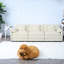 Spacious Chenille Sofas, Modern Modular Design For Living & Office