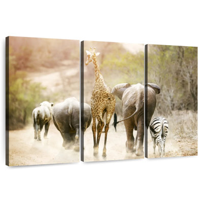 Safari Safari