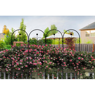 Bobi Trellis