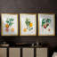 Orange de Malte - reproduction sur mesure encadrée de qualité supérieure - 3 pièces-1578508840-1578508845