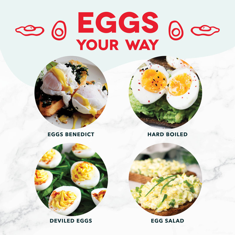 Black Electric 6-Egg Capacity Rapid Egg Cooker
