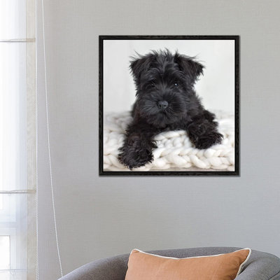 Neddy 1 Piece Wall Art on Canvas