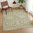 Machine Washable Indoor/Outdoor Chantille ACN2634 Global Rug-366882026-366882028