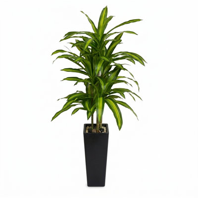 59“ Artificial Dracaena Plant in White Planter for Indoor Decor