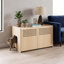 Maison pour chat Modern