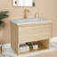 Meuble-lavabo moderne (panneau de meuble-lavabo et lavabo)