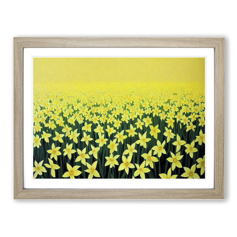 Daffodil Field - Single Picture Frame Print, 25cm H x 34cm W x 2cm D, Oak