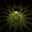 LED Pathway Lights Silver
