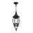 Alaray Outdoor Hanging Lantern