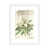White Framed Paper is unavailable
