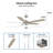 Amonie 56'' Ceiling Fan with LED Lights-1608801658-1608801653