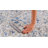 Efes Rectangle Area Rug-107426112