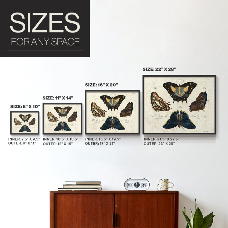 Crackled Butterflies IV -Framed Print - Restickable, Noir, noir, noir, noir, H 22 po x l 28 po