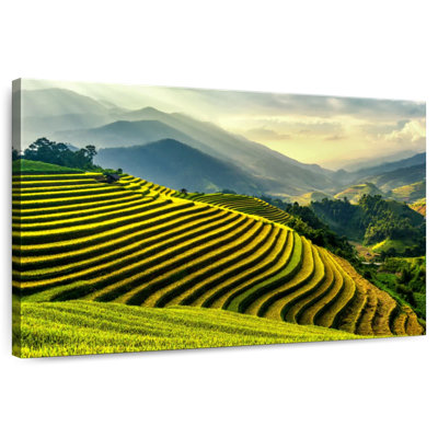 Harnek Yen Bai Rice Paddies