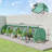 Low Design Mini Greenhouse,Spacious Greenhouse-124615601