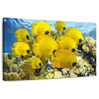 Crowle Yellow Fish