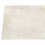 Area Rug in Beige