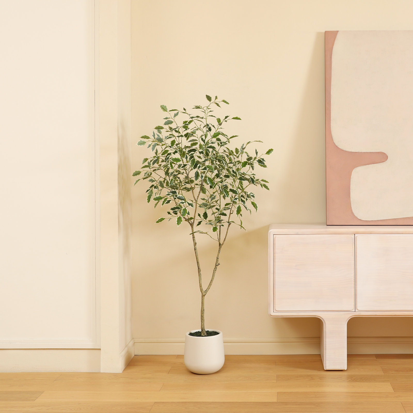 Adagio Ficus Tree in Pot, 60" H x 20" W x 20" D