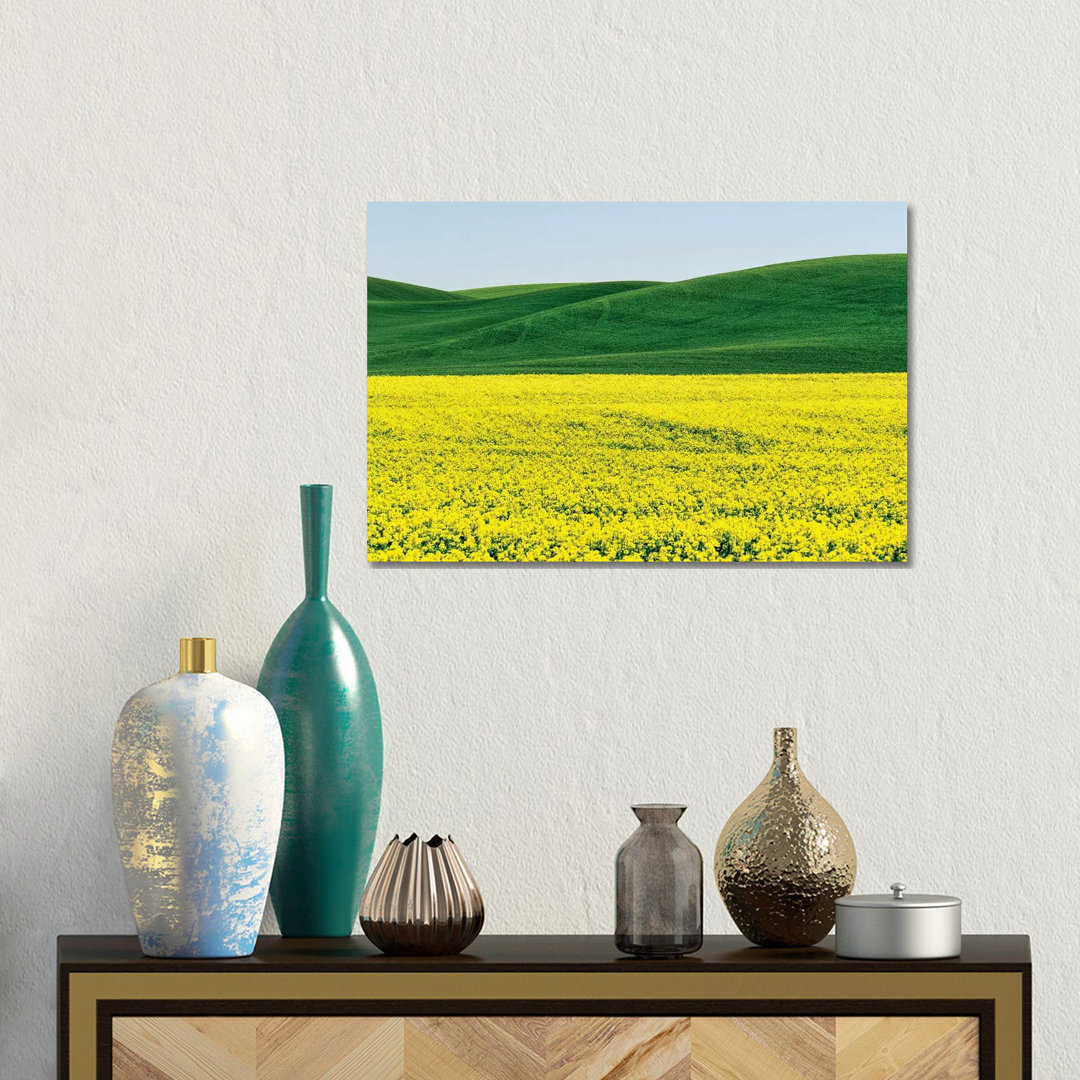 Canola Field In Spring von Terry Eggers - No Frame Gallery-Wrapped Canvas Giclée on Canvas