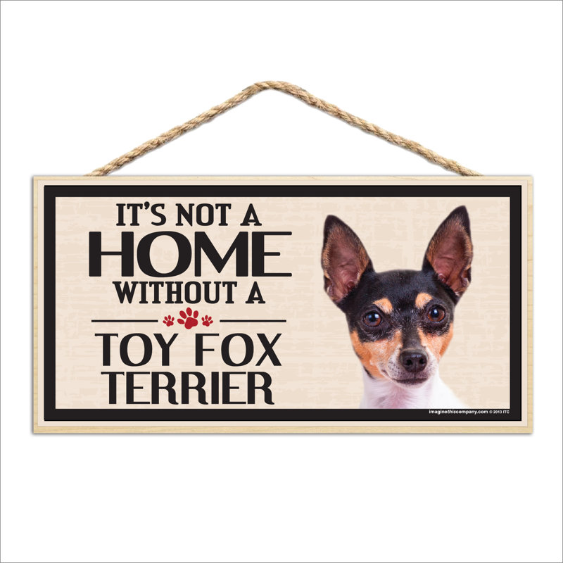Ce n'est pas une maison sans notre jouet Fox Terrier