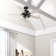 44" Hartland 5 - Blade Modern Farmhouse Indoor Ceiling Fan with Lights and Pull Chains